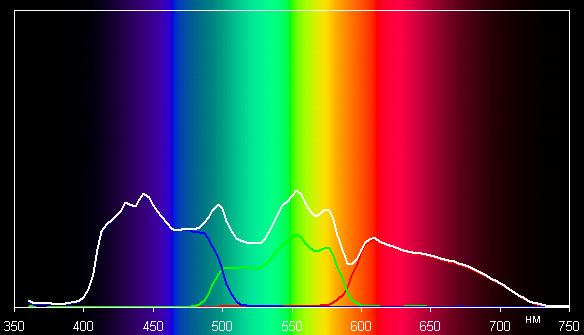 Spectrum
