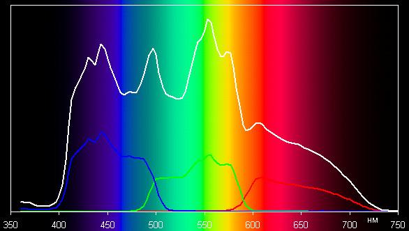 Spectrum