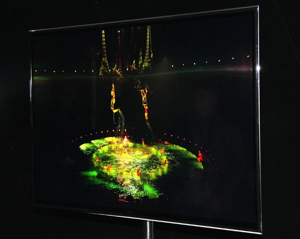 Конвенция Panasonic 2013 Конвенция Panasonic 2013