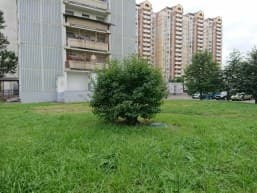 Хорошая детализация на средних и дальних планах.