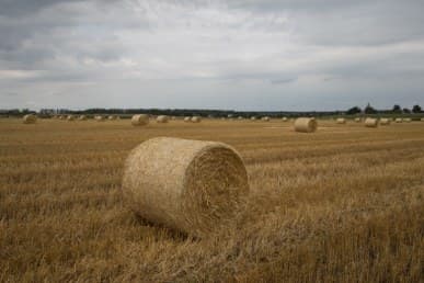 1/200 c