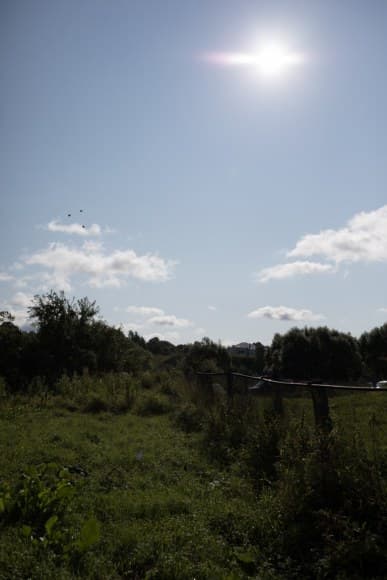 1/5000 c, ISO 100