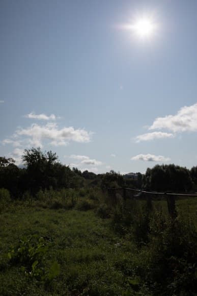 1/1250 c, ISO 100