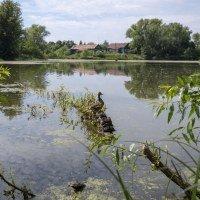 Nikon AF-S Nikkor 35mm f/1.4G