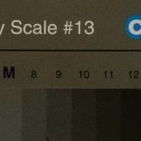 ISO 1600