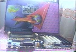 Tekram P6L40-A4