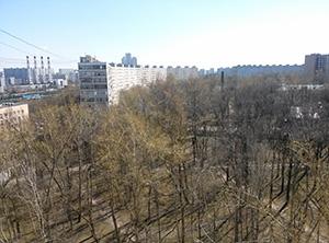 LG Optimus G, пример снимка