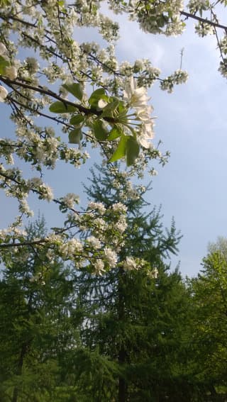 Внешняя камера
