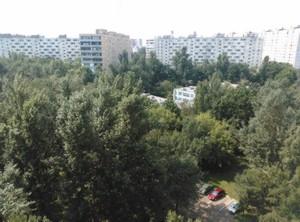 Тестовый снимок тыльной камеры ZTE nubia z5