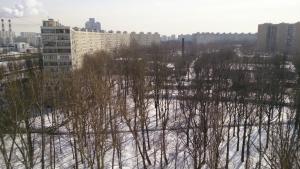 обзор смартфона Sony Xperia ZL