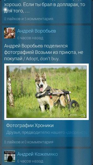 Скриншот Скриншот Sailfish OS Скриншот Скриншот Sailfish OS
