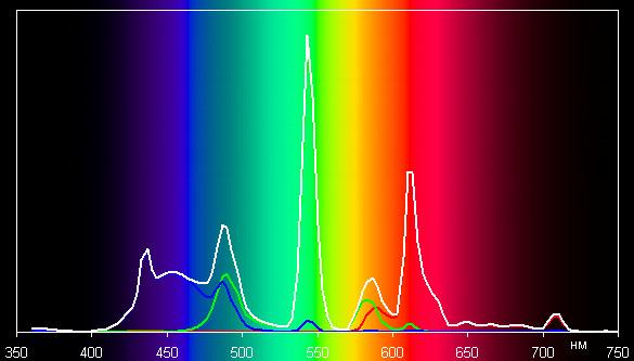 Spectrum