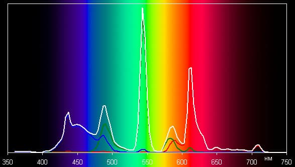 Spectrum