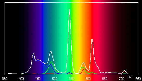Spectrum