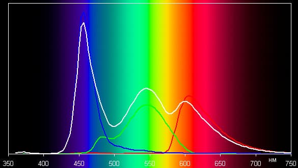 Spectrum