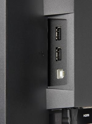 ЖК-монитор Eizo FG2421, разъемы ЖК-монитор Eizo FG2421, разъемы