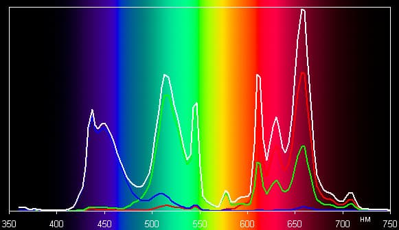 Spectrum