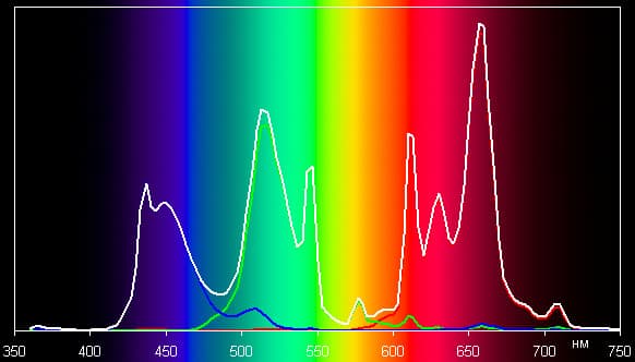 Spectrum