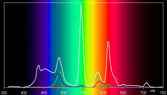 Spectrum