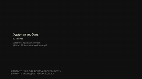 Интерфейс Dune HD TV-101W Интерфейс Dune HD TV-101W