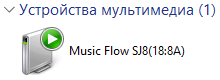 LG Music Flow Player LG Music Flow Player