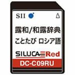 Карта DC-C09RU