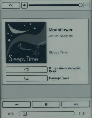 проигрыватель Электронная книга Sony Reader PRS-T1 - проигрыватель
