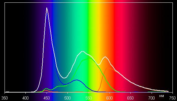 Обзор планшета Samsung Galaxy Tab Active (LTE). Тестирование дисплея