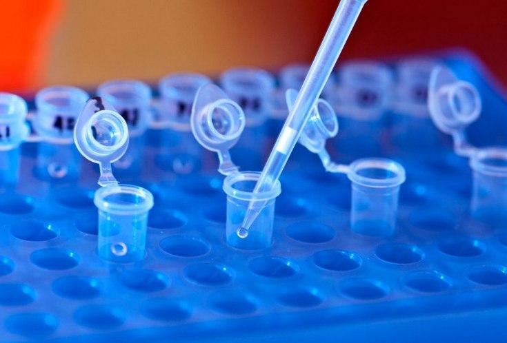 Microosft будет исследовать ДНК в качестве носителя данных