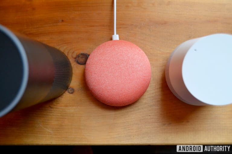 Google и Amazon занимают почти 100% рынка умных АС