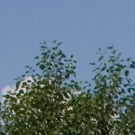 Adobe Camera Raw