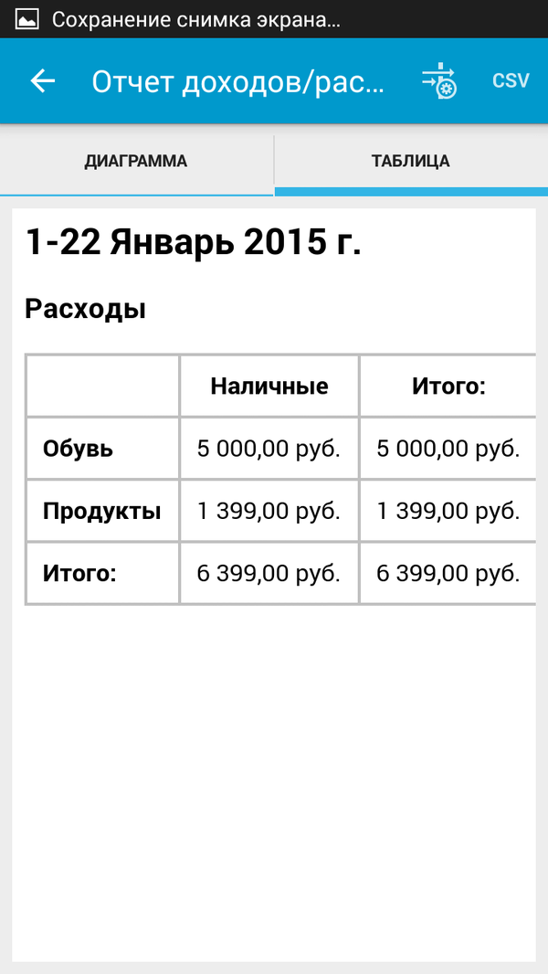 ViZi Бюджет