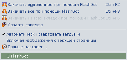 FlashGot