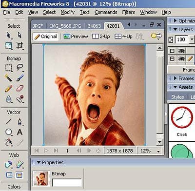 Рабочая область Macromedia Fireworks 8.0
