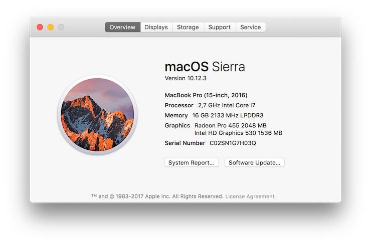 Скриншот с 15-дюймового Apple MacBook Pro (Late 2016)