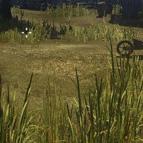 Foliage quality Medium