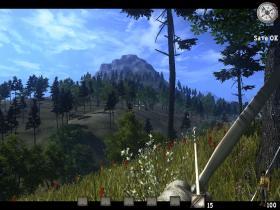 Trees on